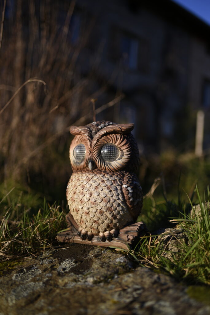 “Chouette décorative du Domaine de la Chouette, installée dans le jardin en extérieur.