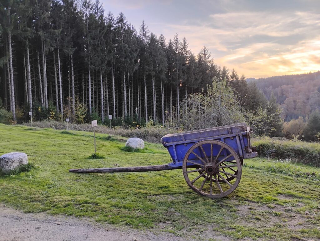 Ancien chariot en bois dans un pré du Domaine de la Chouette, avec forêt et ciel au coucher du soleil.